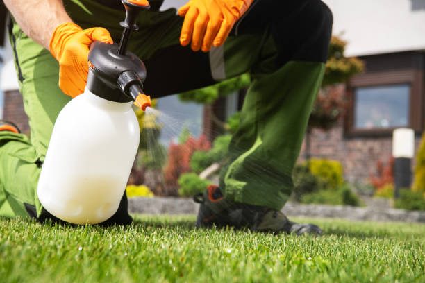 Best Insect Control  in Sweetwater, TX
